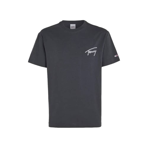 https://accessoiresmodes.com//storage/photos/2339/TEE-SHIRT ET POLOS TOMMY/tee-shirt-tommy-gris.png